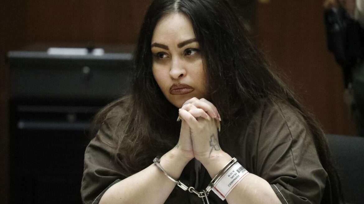 Pearl Fernandez Explained: A Case That Exposed System Failures